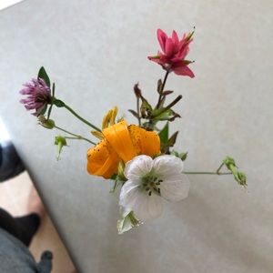 Meet your Posher, Jaclyn